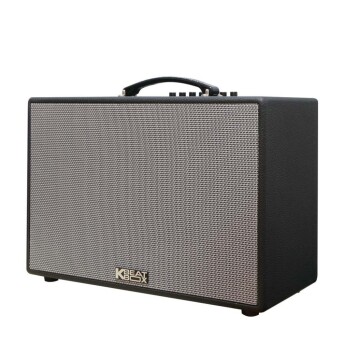 Loa Acnos CS250PUW (Chính hãng)