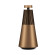 Loa B&O Beosound 2 GVA | Bronze Tone (Chính Hãng)