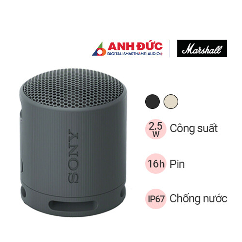 Loa Sony SRS-XB100 | Black (Chính hãng)