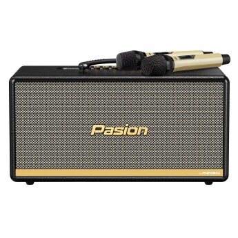 Loa Paramax Pasion 2 | Black Leather (Chính Hãng)