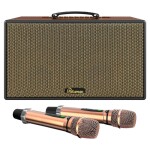 Loa Paramax Aura | Brown (Chính hãng)