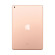 iPad 2019 | Wifi + Cellular/128GB | Gold