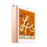 iPad Mini 2019 | Wifi + Cellular/256GB | Gold