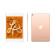 iPad Mini 2019 | Wifi + Cellular/256GB | Gold