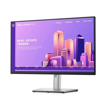 Màn hình máy tính Dell P2422H 23.8 inch FHD IPS (Chính Hãng)