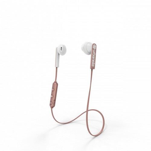 Tai nghe Urbanista Berlin | Rose Gold (Chính Hãng)