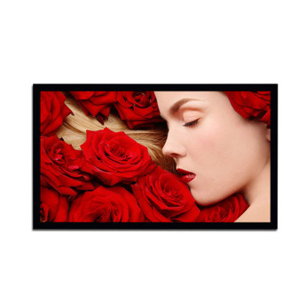 Màn chiếu DNP Core 100 inch (Chính Hãng)