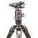 Benro Gimbal Head GH2F (Chính Hãng)