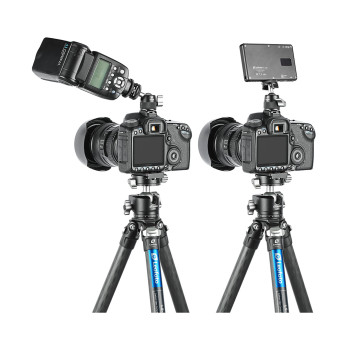 Đầu bi mini và đế kẹp dù Leofoto F-19 + CF-10 (Chính Hãng)