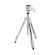 Chân máy Manfrotto Compact Action | White