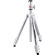 Chân máy ảnh Manfrotto Compact Light | White