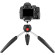 Chân máy Manfrotto Pixi Evo Mini 2 Section | Black