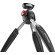 Chân máy Manfrotto Pixi Evo Mini 2 Section | Black