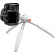 Chân máy Manfrotto Pixi Evo Mini 2 Section | White