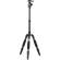Chân carbon Sirui A1205 Carbon Fiber Tripod with Y-11 Ball Head (Chính Hãng)