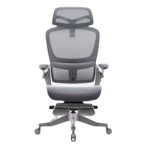 Ghế công thái học Epione Easy Chair | Cool Gray (Chính Hãng)