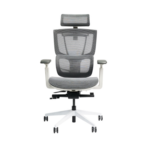 Ghế công thái học Epione ErgoChair Pro 2.0 | Cool Gray (Chính Hãng)