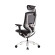 Ghế công thái học GTChair Dvary Marrit X | Black (Chính Hãng)