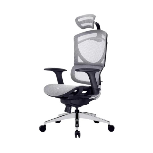 Ghế công thái học Ergonomic GTChair I-See M | Gray (Chính Hãng)