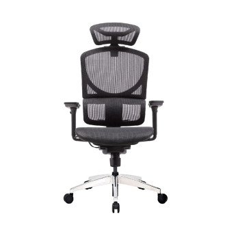 Ghế công thái học Ergonomic GTChair I-See M | Black (Chính Hãng)