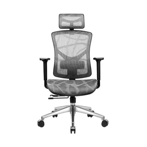 Ghế công thái học Manson Vera - Lưới Dragon | Gray (Chính Hãng)