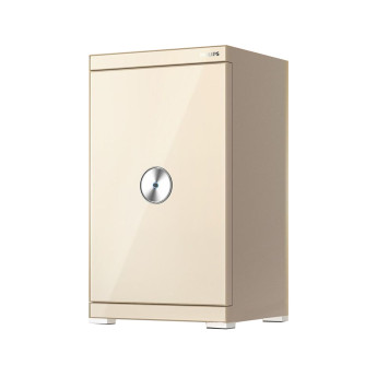 Két sắt Philips SBX602-5CU | Gold