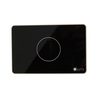 Công tắc 1 nút Lumi chữ nhật ngang kính phẳng viền thẳng champagne LM-S1N/ND | Black